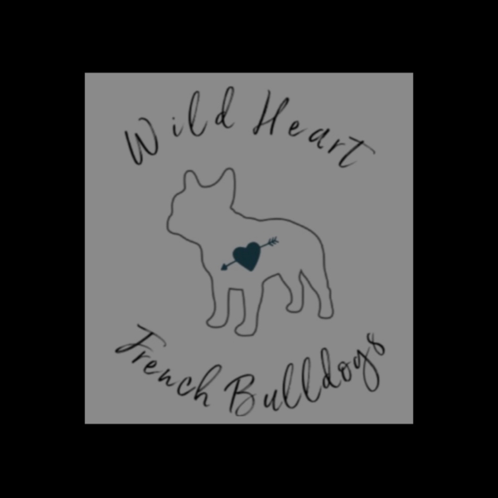 Meet your Posher, Nikki jo